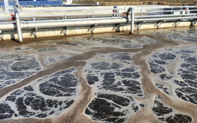 Successful Wastewater Local Limits Negotiation Resulting in a Technically-Based BOD Limit