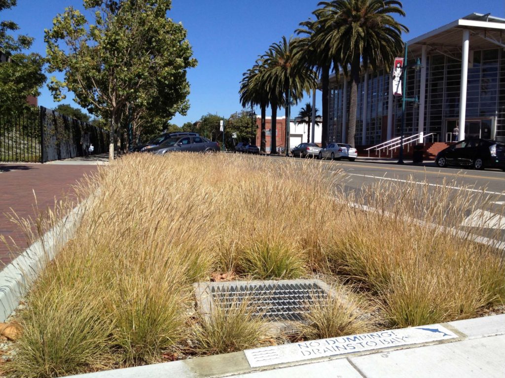 Implementing LID and Green Infrastructure
