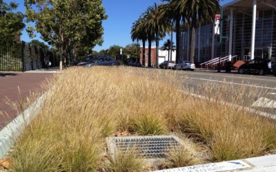 Implementing LID and Green Infrastructure Best Management Practices